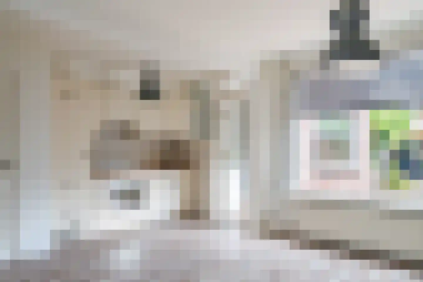 Van Rootselaarstraat 24 Nijkerkerveen thumbnail 12