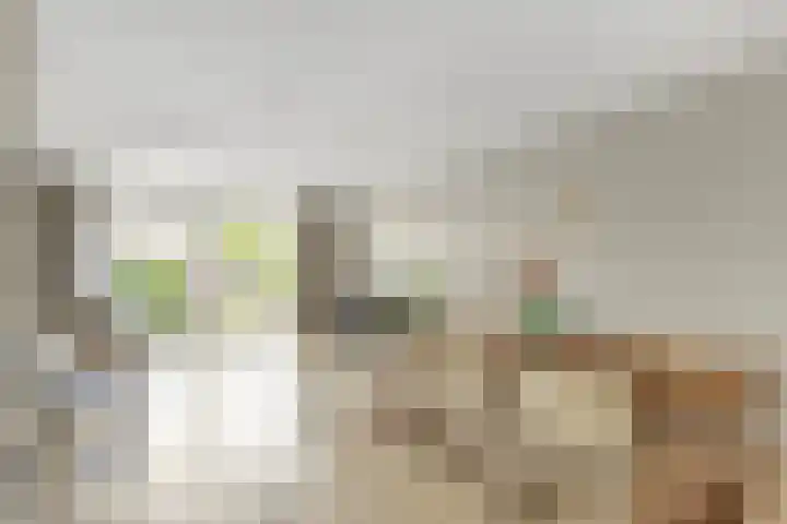 Van Rootselaarstraat 5 a Nijkerkerveen thumbnail 11