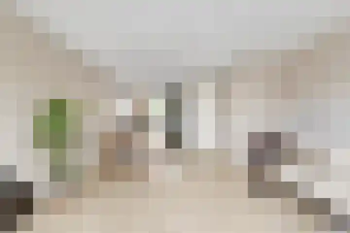 Van Rootselaarstraat 5 a Nijkerkerveen thumbnail 12