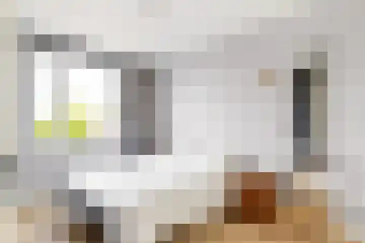 Van Rootselaarstraat 5 a Nijkerkerveen thumbnail 4