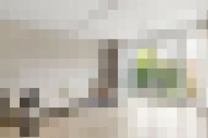 Van Rootselaarstraat 5 a Nijkerkerveen thumbnail 9