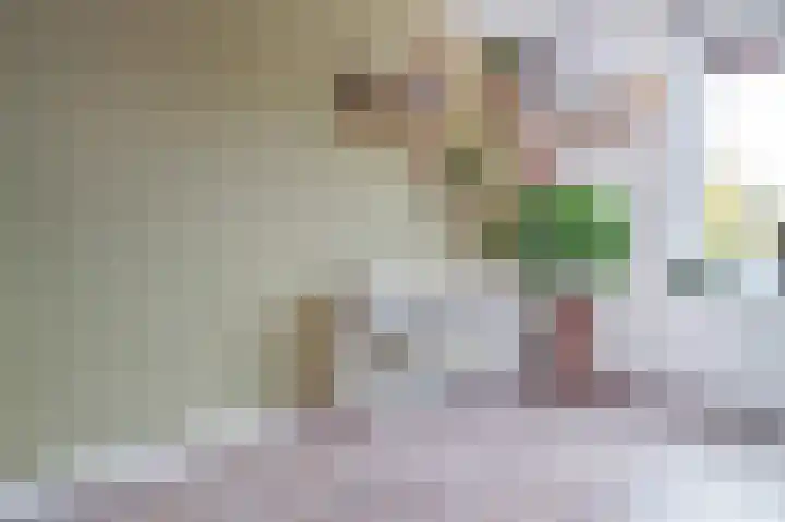 Van Rooylaan 21 Etten-Leur thumbnail 14