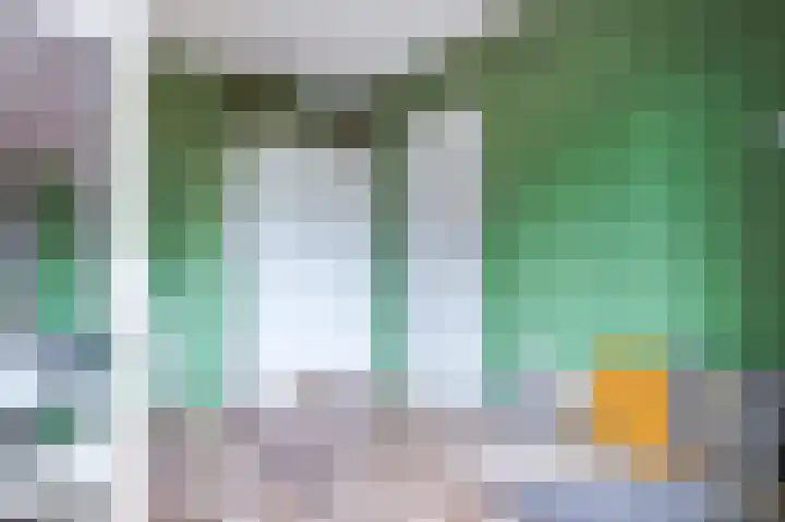 Van Rooylaan 21 Etten-Leur thumbnail 26