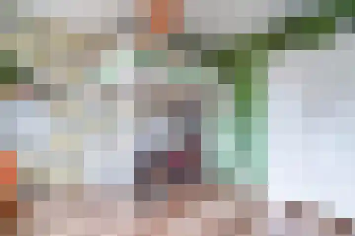 Van Rooylaan 21 Etten-Leur thumbnail 27