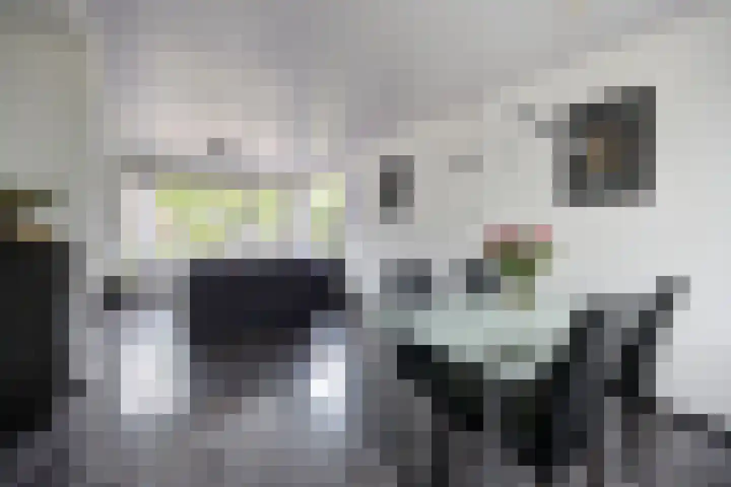 Van Rooylaan 25 Etten-Leur thumbnail 10