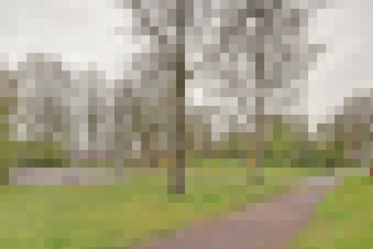 Van Rooylaan 31 Etten-Leur thumbnail 37