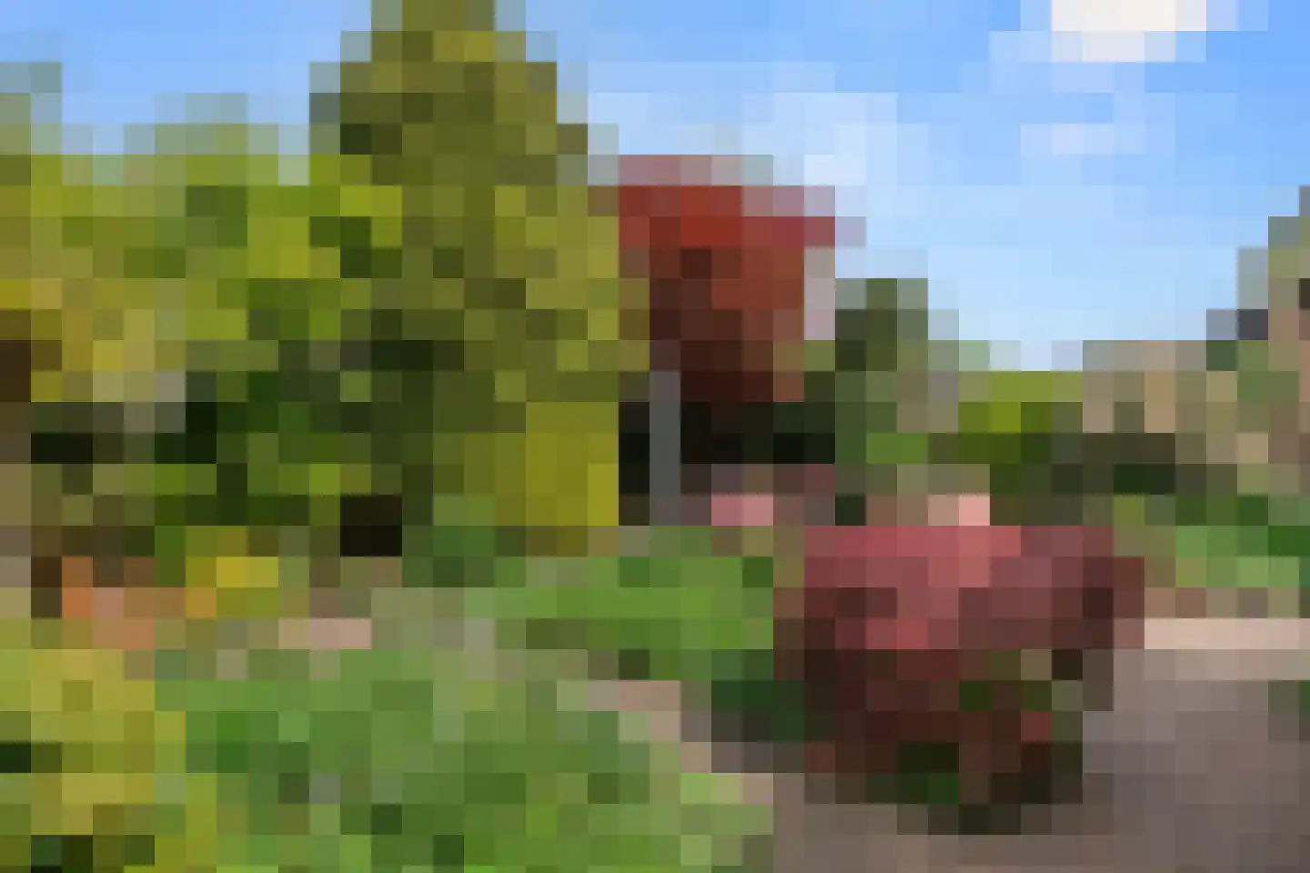 Van Rouwenoortstraat 10 Bennekom thumbnail 15