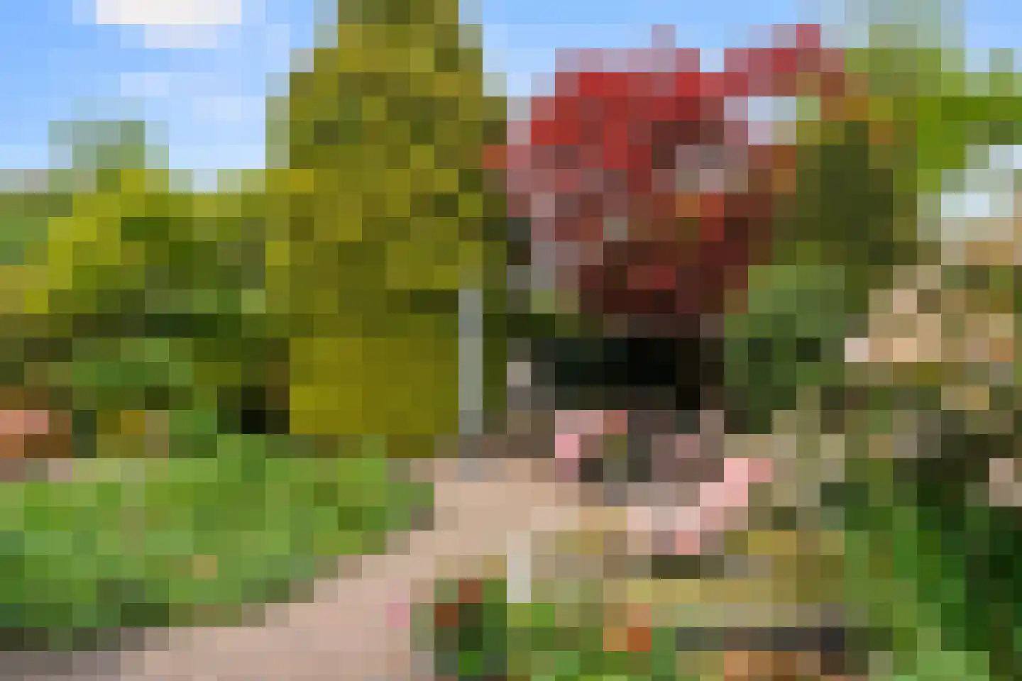Van Rouwenoortstraat 10 Bennekom thumbnail 17