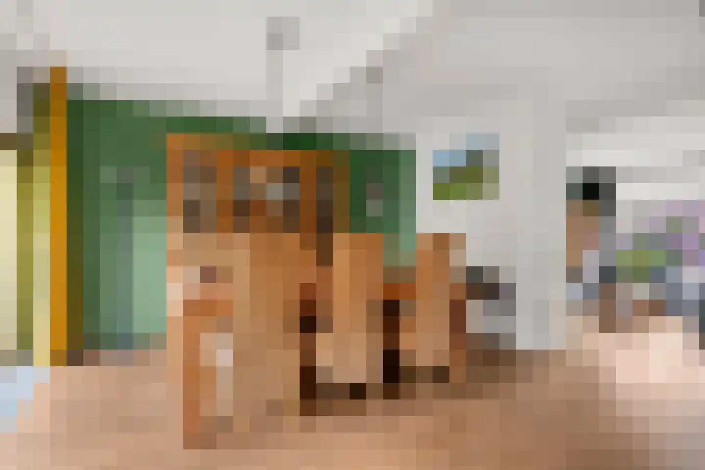 Van Rouwenoortstraat 10 Bennekom thumbnail 31