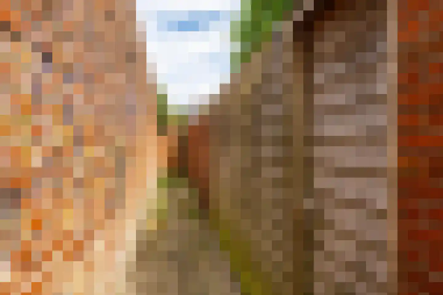 Van Royenlaan 15 a Groningen thumbnail 39