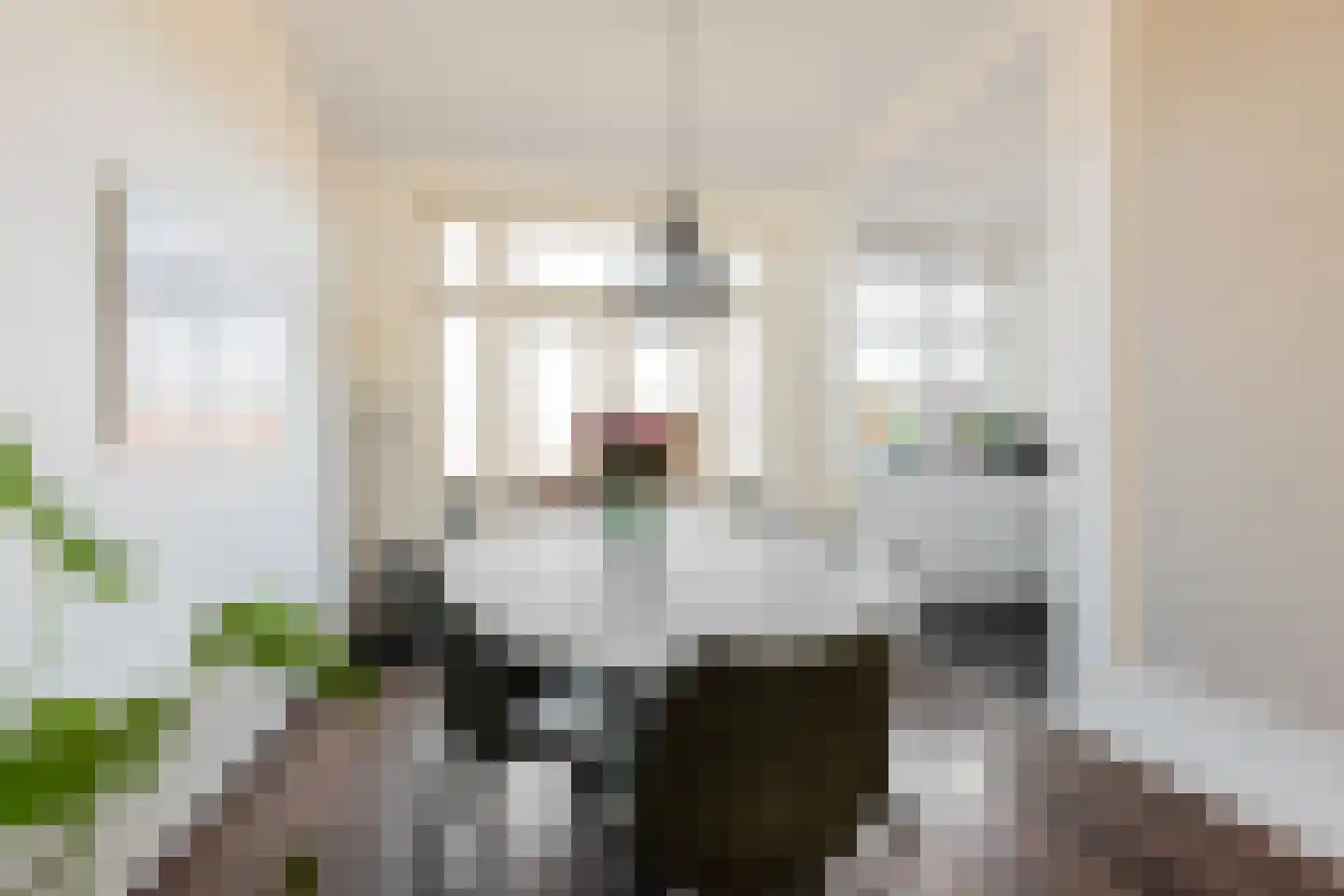 Van Royenlaan 15 b Groningen thumbnail 15