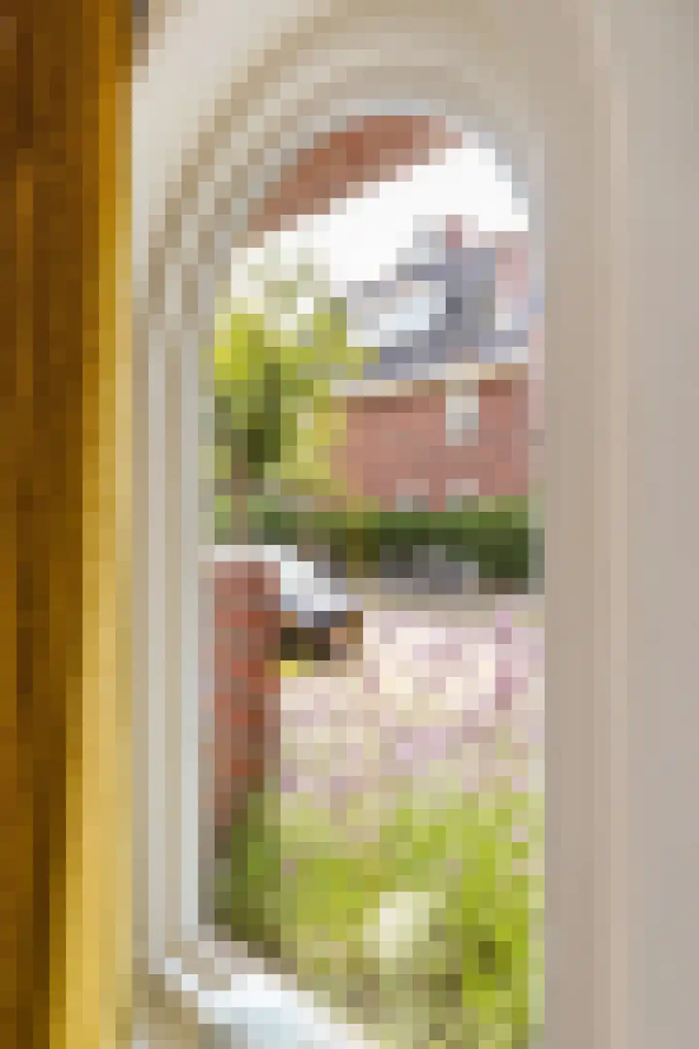 Van Royenlaan 23 Groningen thumbnail 12