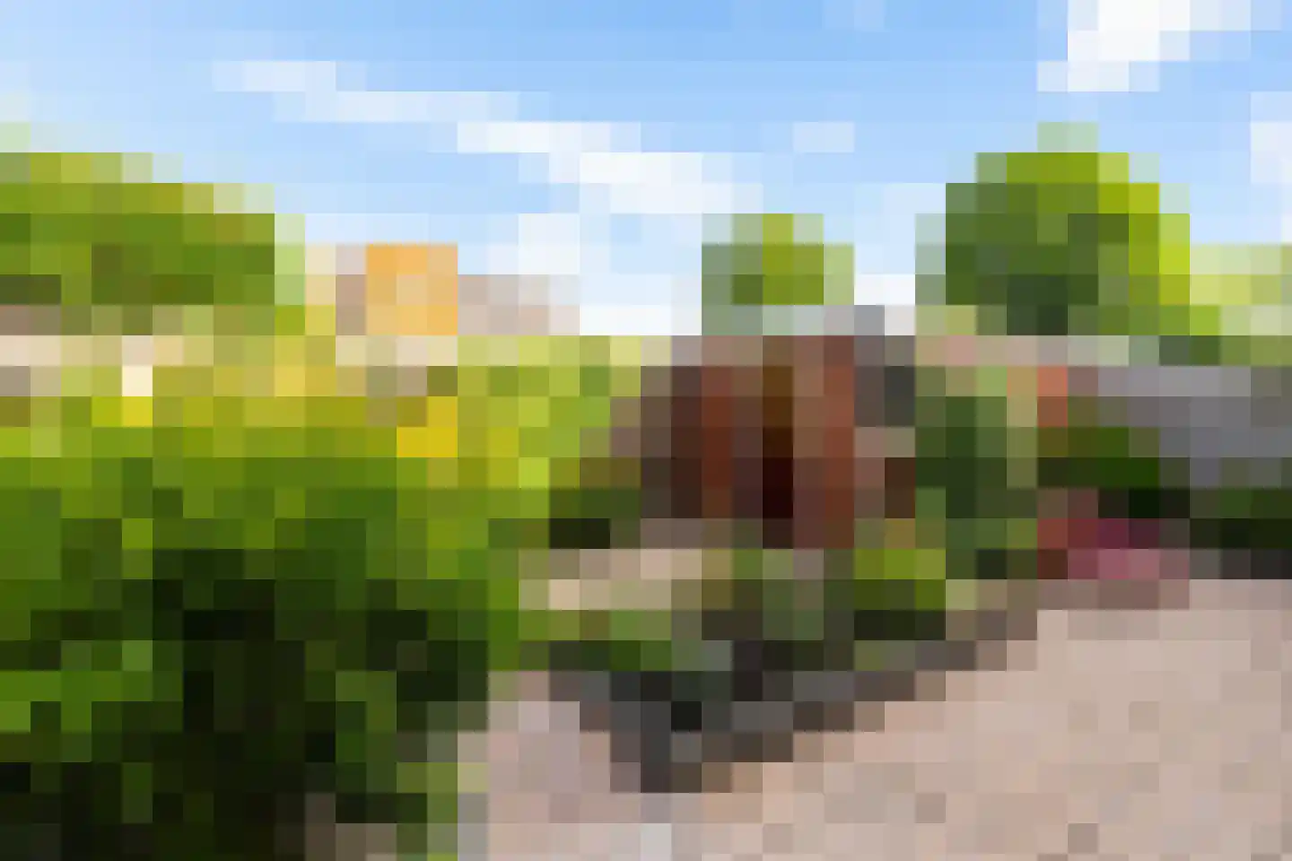Van Royenlaan 23 Groningen thumbnail 20