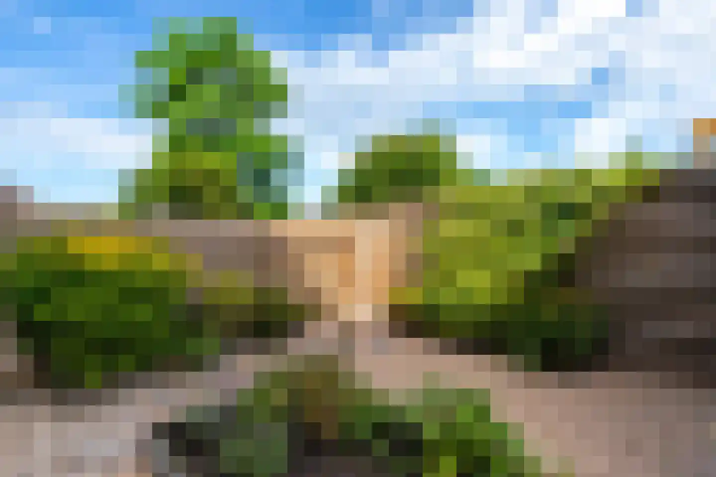 Van Royenlaan 23 Groningen thumbnail 21