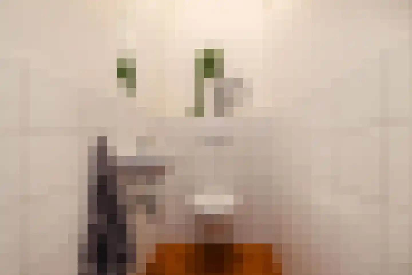 Van Royenlaan 23 Groningen thumbnail 30