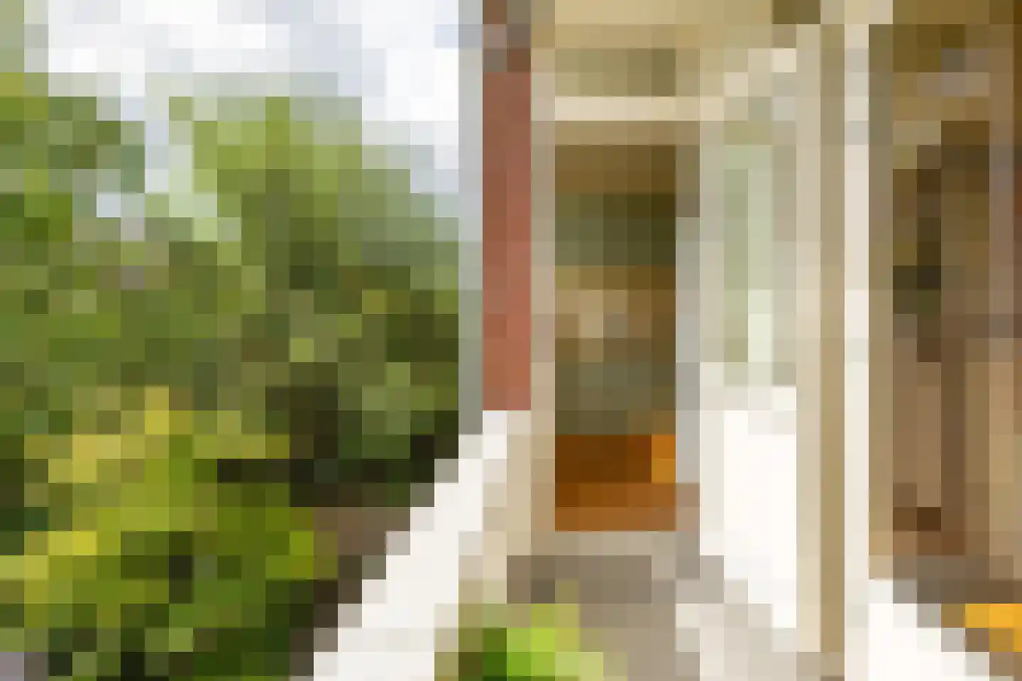 Van Royenlaan 28 a Groningen thumbnail 31