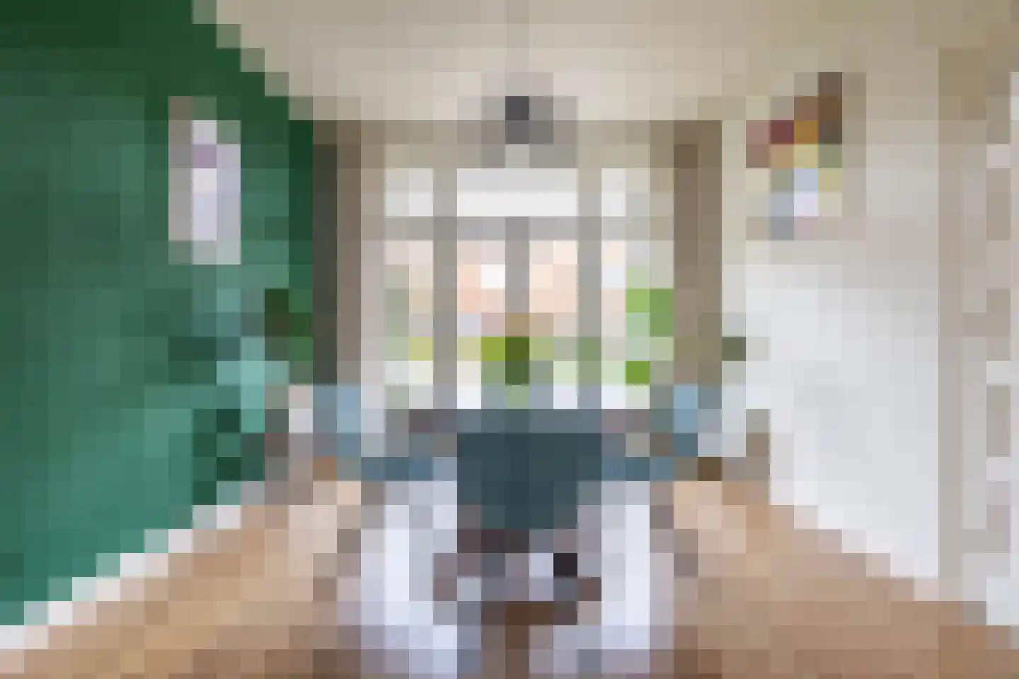Van Royenlaan 32 a Groningen thumbnail 23
