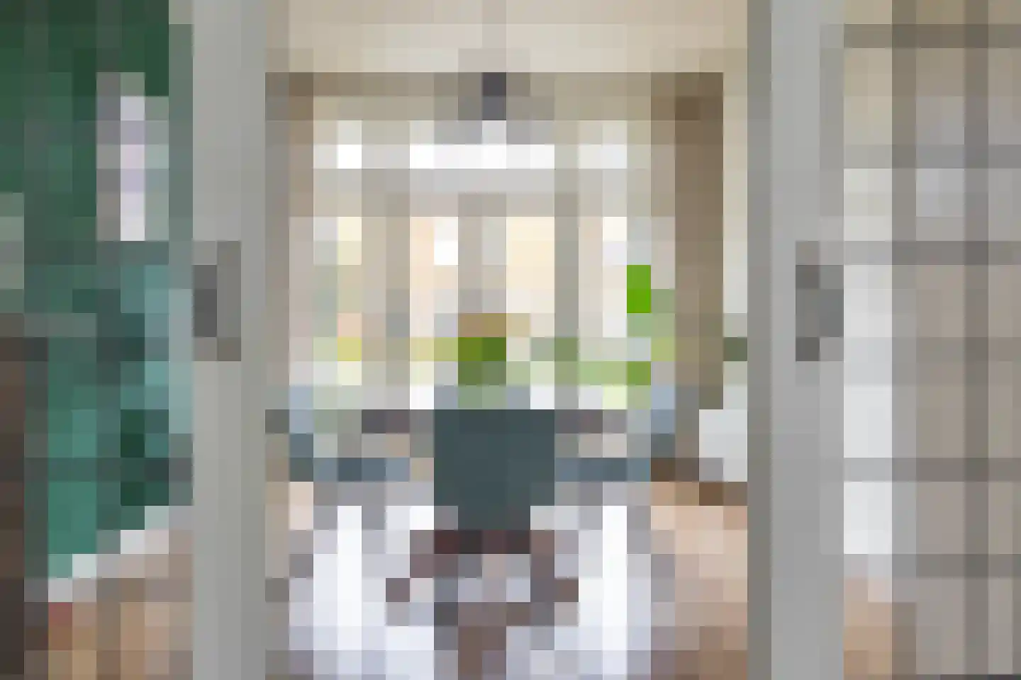 Van Royenlaan 32 a Groningen thumbnail 31