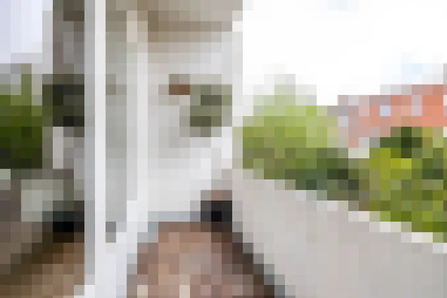 Van Royenlaan 32 a Groningen thumbnail 34
