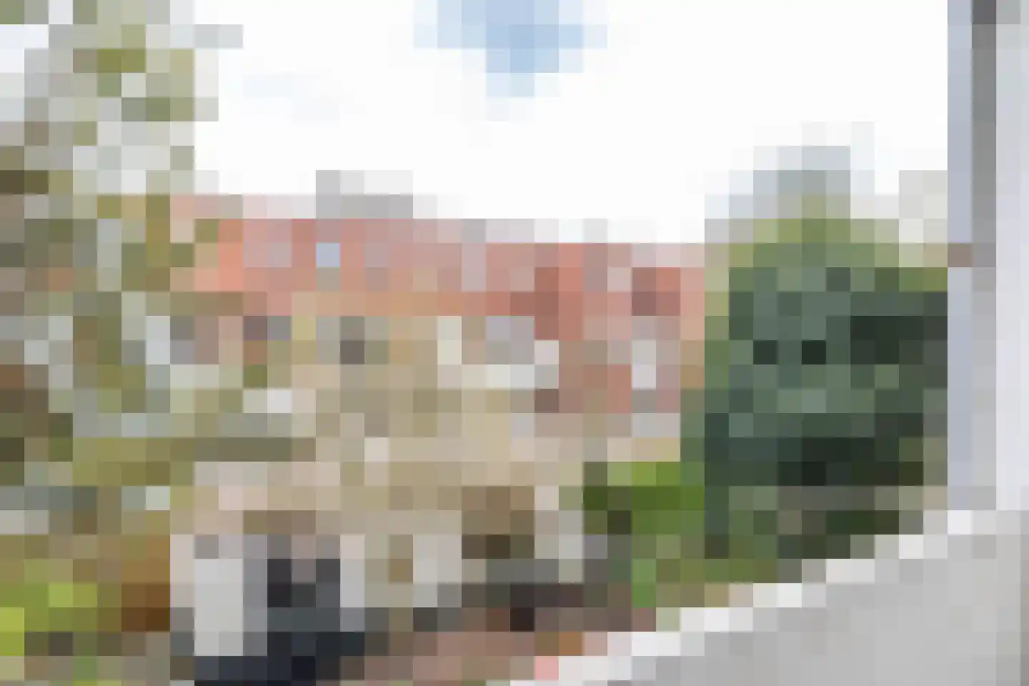 Van Royenlaan 32 a Groningen thumbnail 36