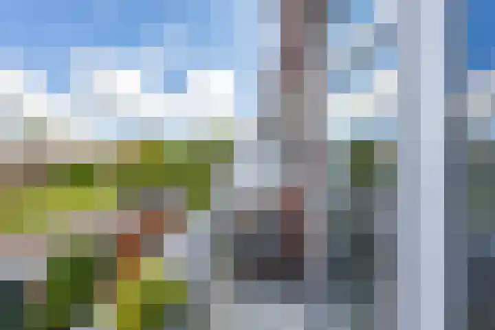 Van Royenlaan 35 b Groningen thumbnail 20