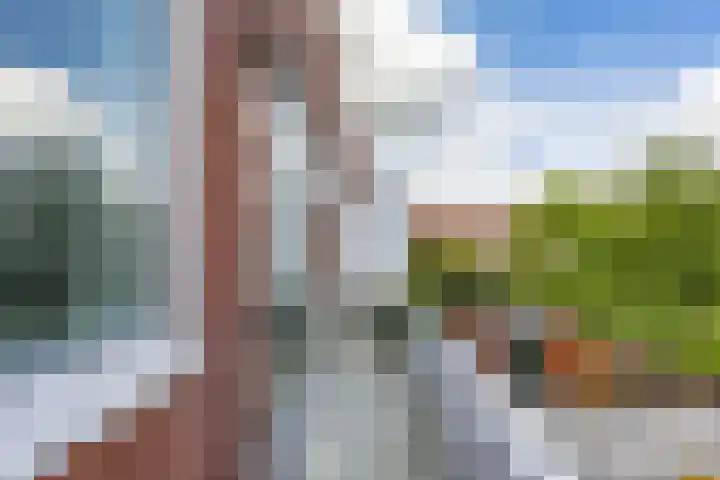 Van Royenlaan 35 b Groningen thumbnail 21