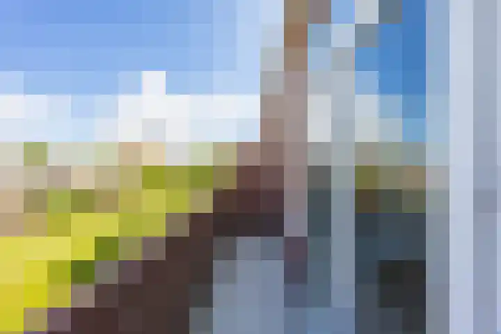 Van Royenlaan 35 b Groningen thumbnail 33