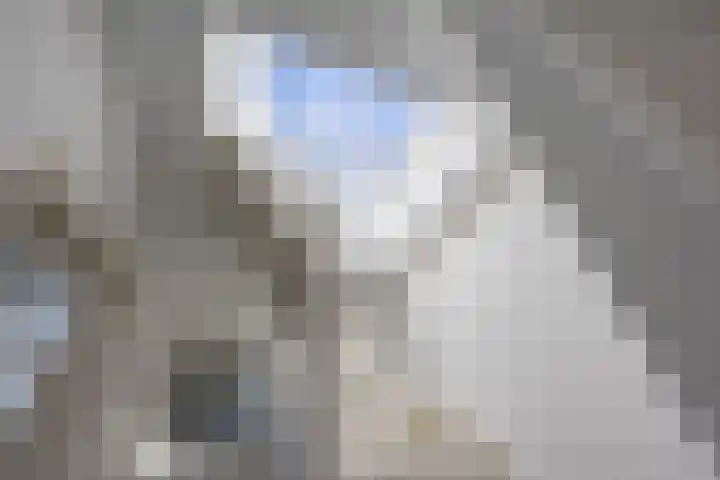 Van Royenlaan 35 b Groningen thumbnail 34
