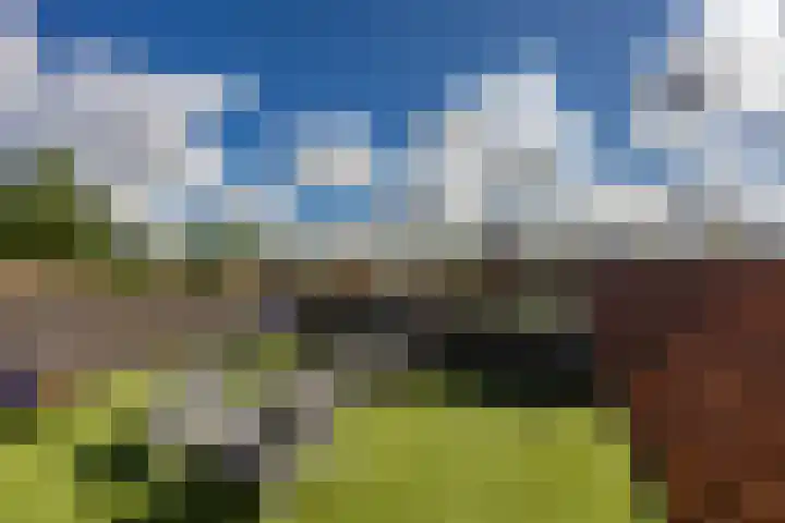 Van Royenlaan 35 b Groningen thumbnail 37