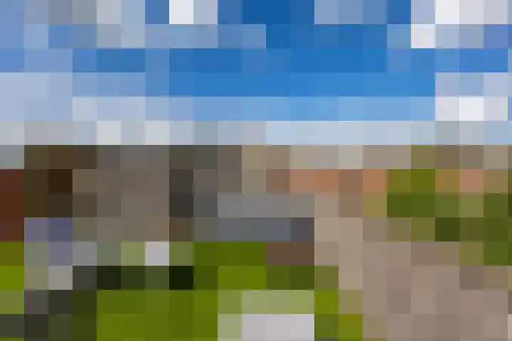 Van Royenlaan 35 b Groningen thumbnail 38