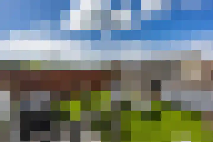 Van Royenlaan 35 b Groningen thumbnail 39