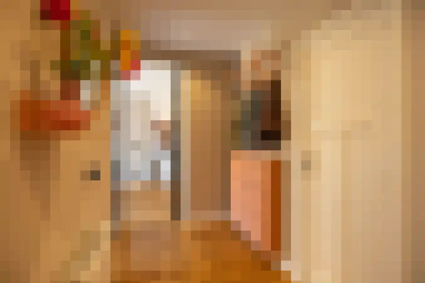 Van Royenlaan 37 Groningen thumbnail 28