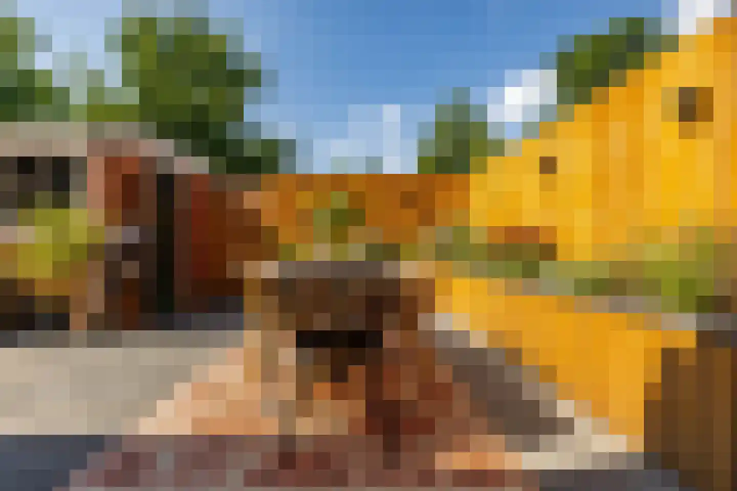 Van Royenlaan 37 Groningen thumbnail 33
