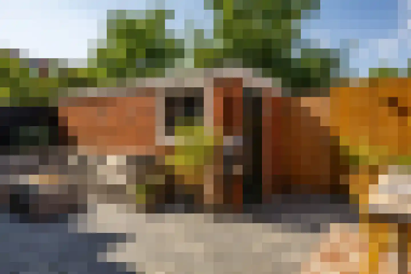 Van Royenlaan 37 Groningen thumbnail 34