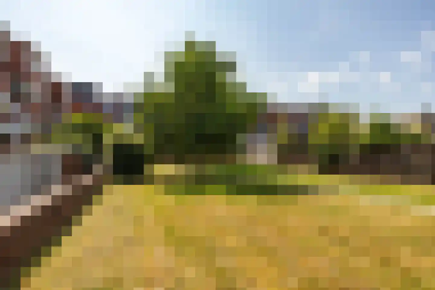 Van Royenlaan 37 Groningen thumbnail 42