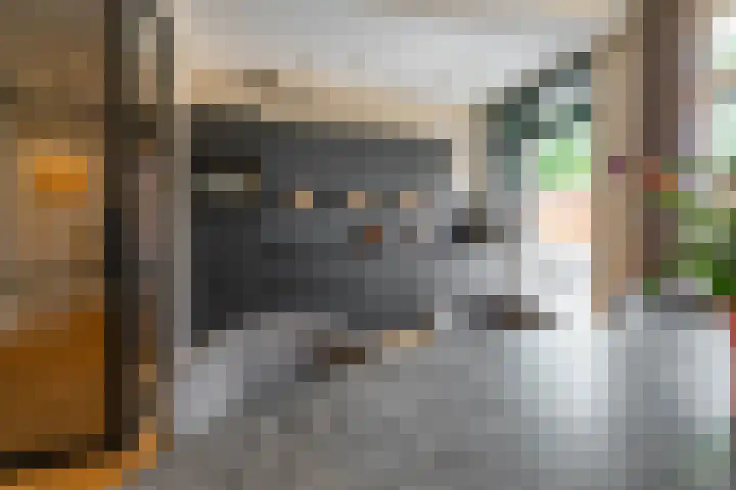 Van Royenlaan 37 Groningen thumbnail 5