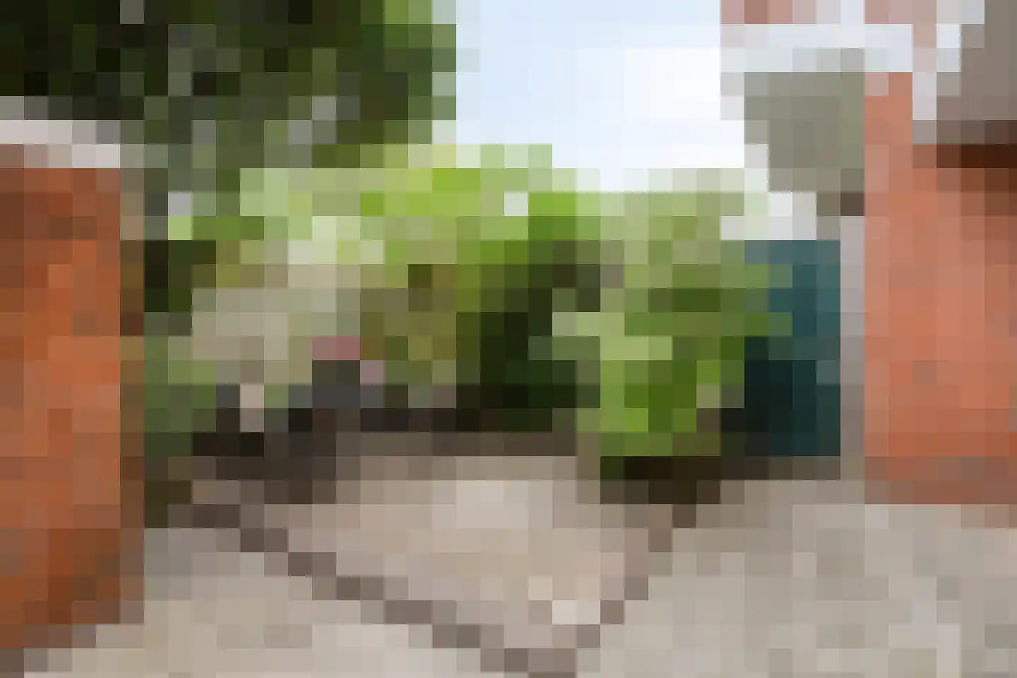 Van Royenlaan 41 Groningen thumbnail 8