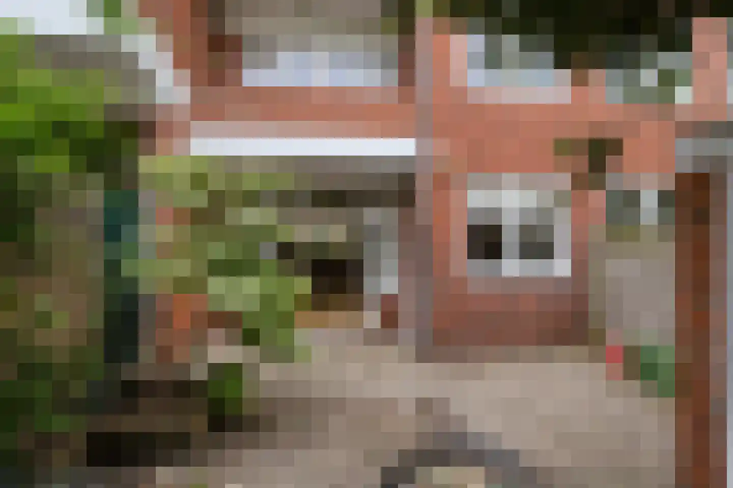 Van Royenlaan 41 Groningen thumbnail 9