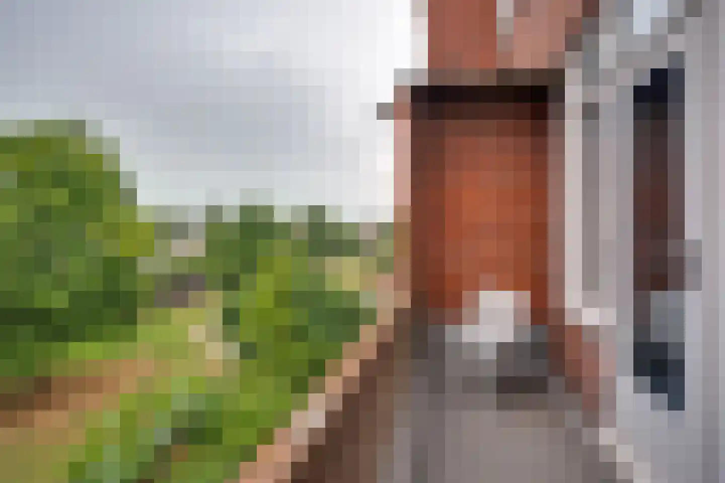 Van Royenlaan 45 a Groningen thumbnail 25