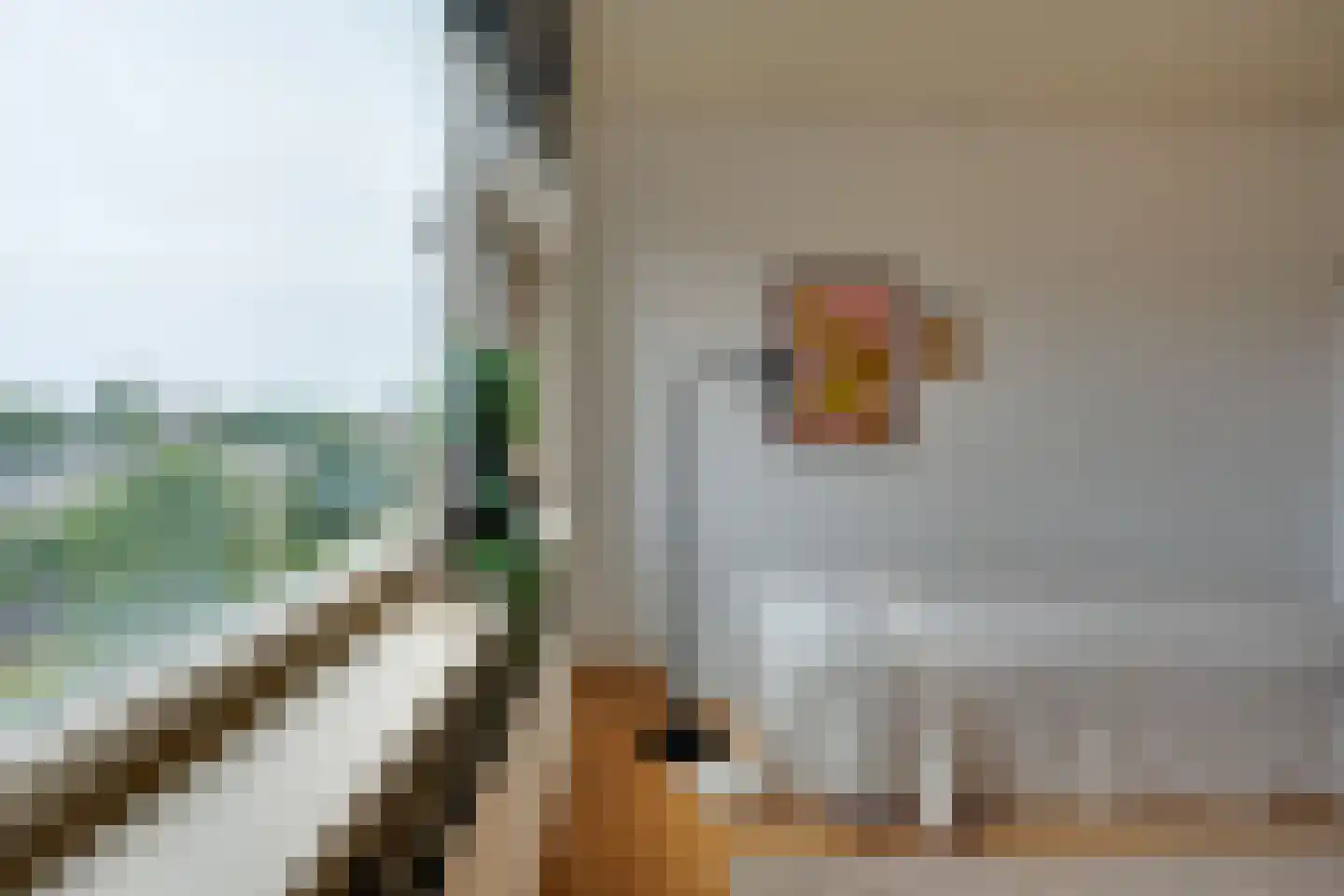 Van Royenlaan 45 a Groningen thumbnail 34