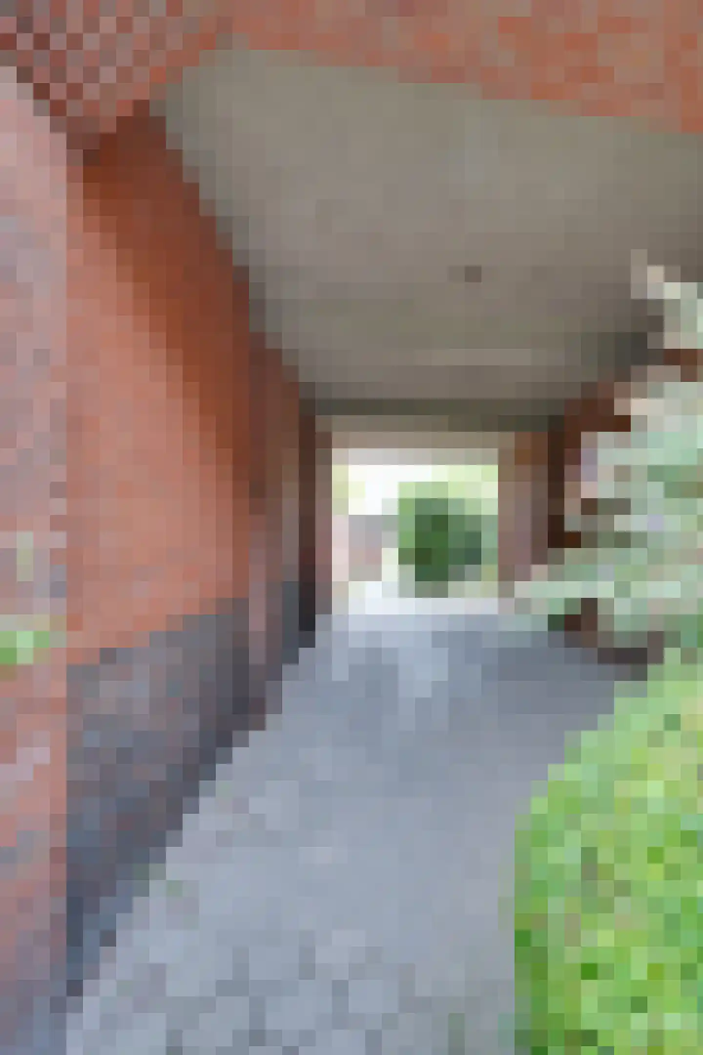 Van Royenlaan 45 a Groningen thumbnail 44