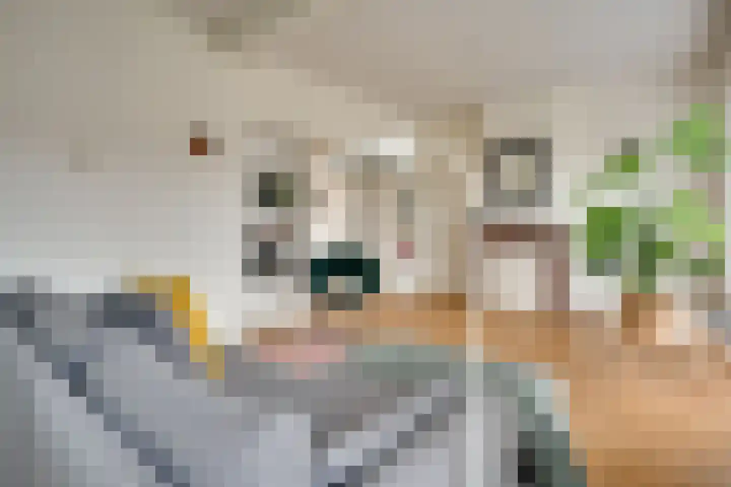 Van Royenlaan 45 a Groningen thumbnail 8