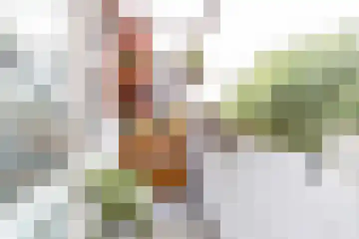 Van Royenlaan 46 b Groningen thumbnail 17