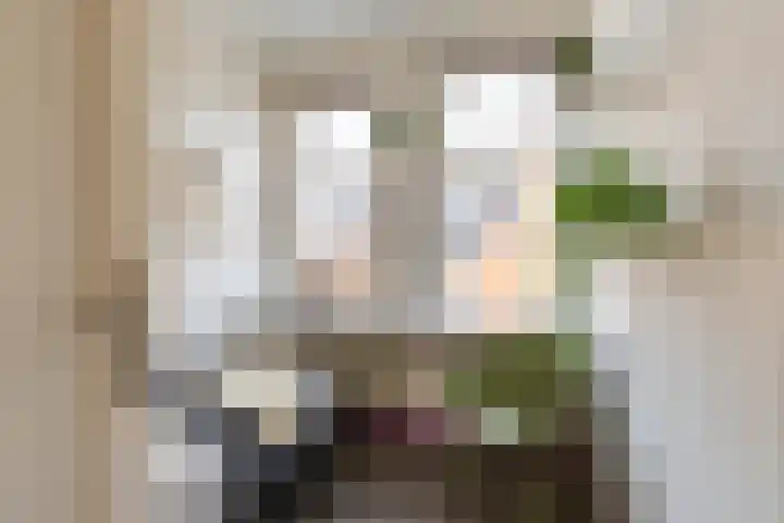 Van Royenlaan 46 b Groningen thumbnail 23