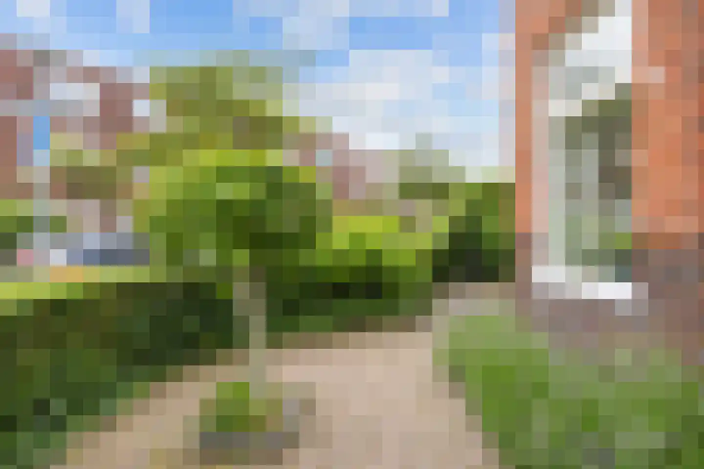 Van Royenlaan 46 Groningen thumbnail 10