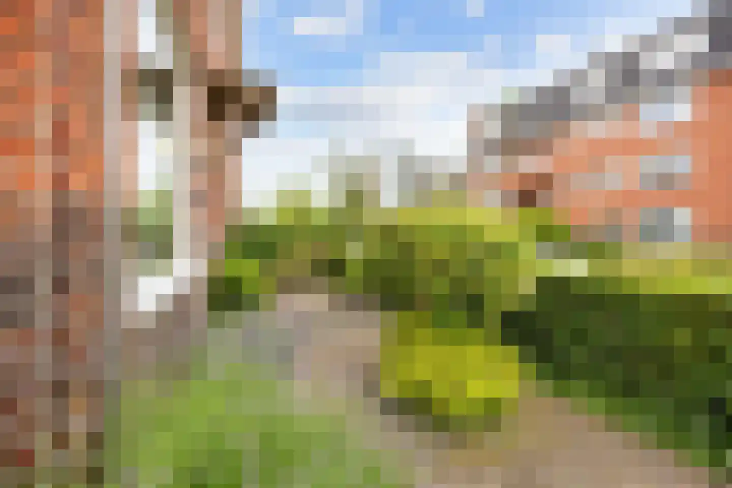 Van Royenlaan 46 Groningen thumbnail 11