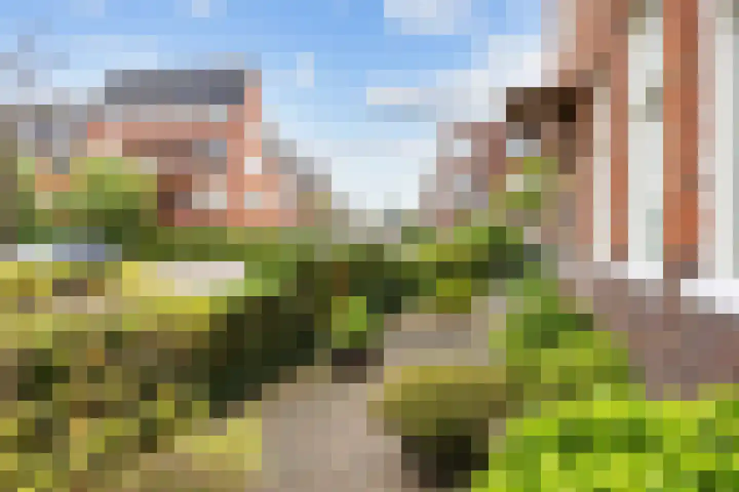 Van Royenlaan 46 Groningen thumbnail 12