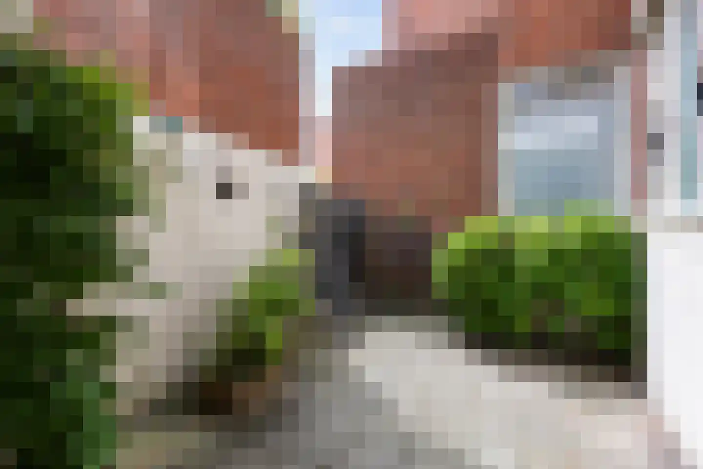 Van Royenlaan 46 Groningen thumbnail 40
