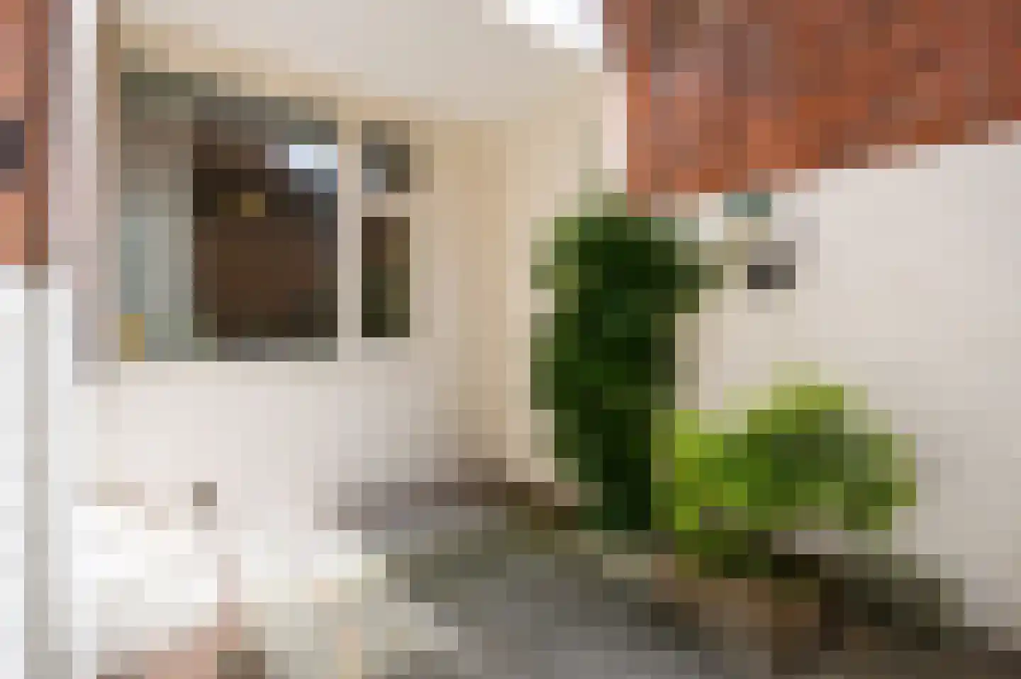 Van Royenlaan 46 Groningen thumbnail 43