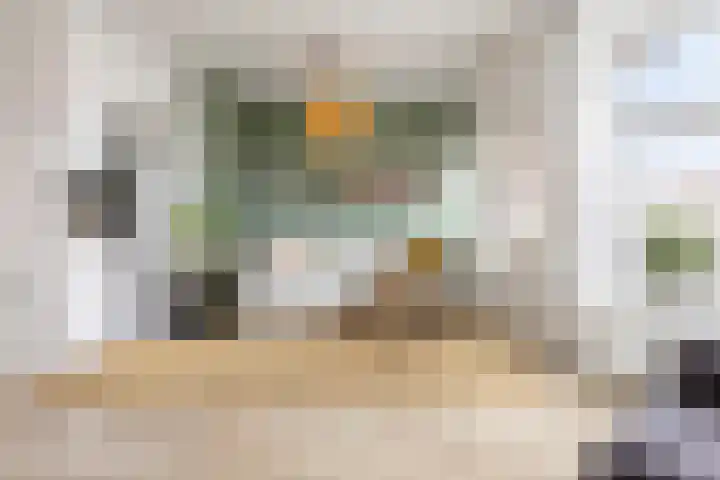 Van Royenlaan 47 a Groningen thumbnail 17